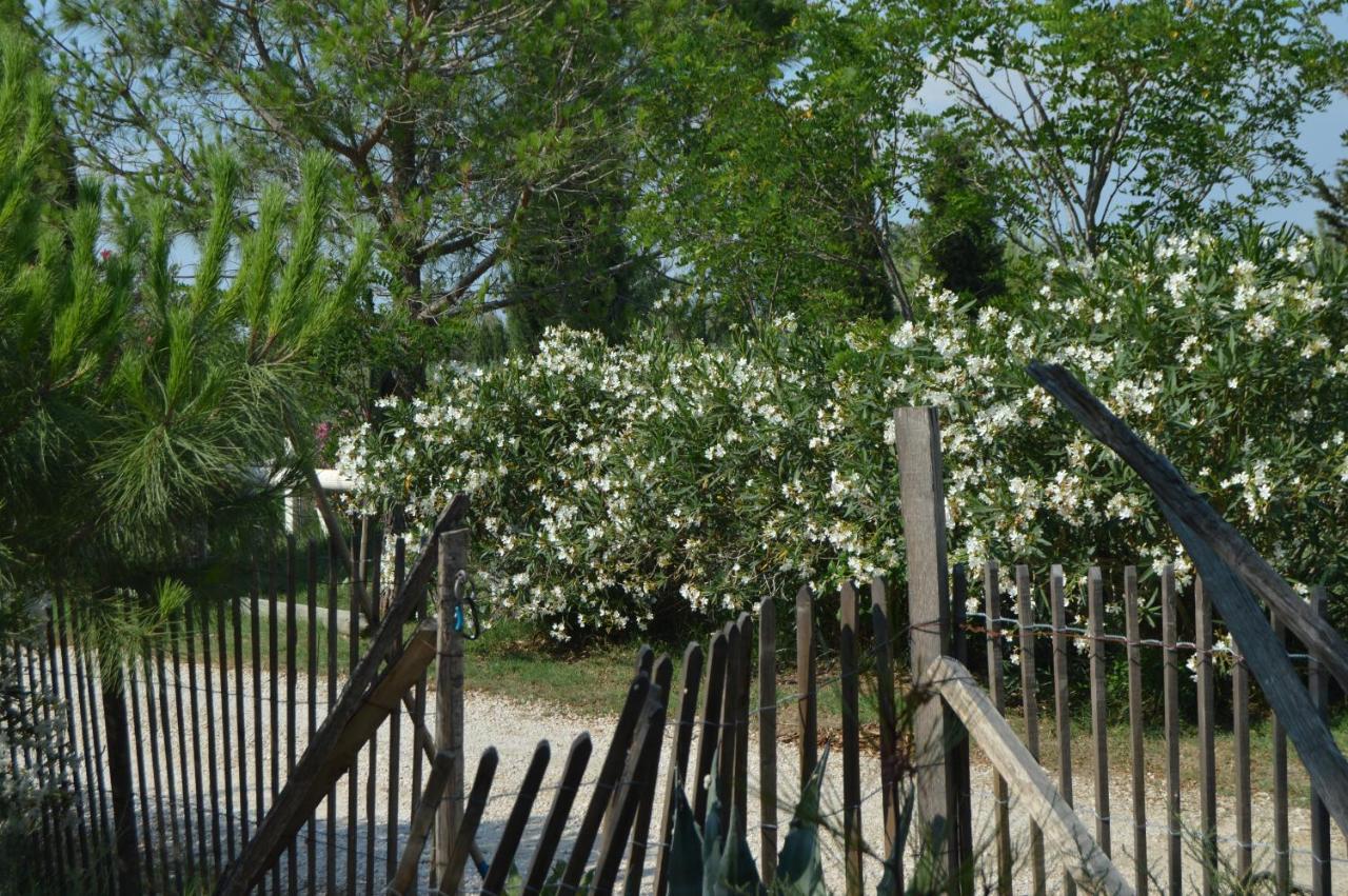 Bergerie D'Alivon En Camargue Bed & Breakfast Albaron Exterior photo