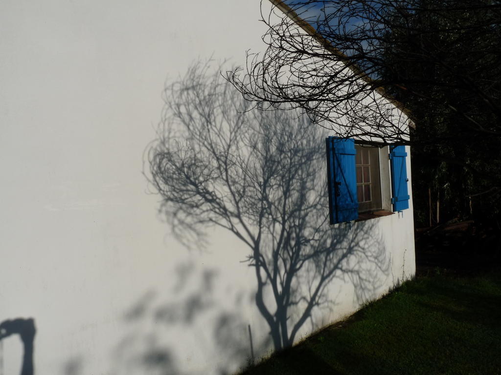 Bergerie D'Alivon En Camargue Bed & Breakfast Albaron Exterior photo