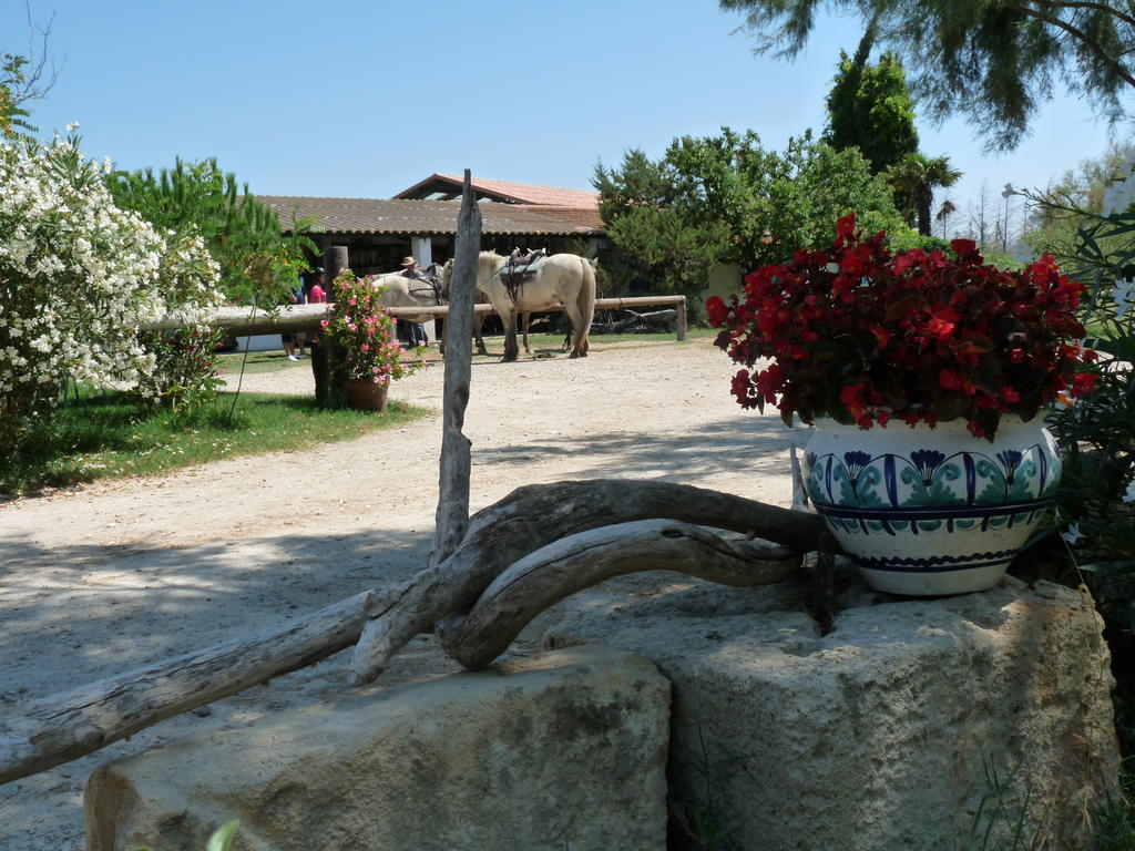 Bergerie D'Alivon En Camargue Bed & Breakfast Albaron Exterior photo